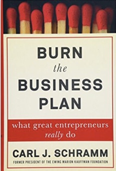 Burn the Business Plan