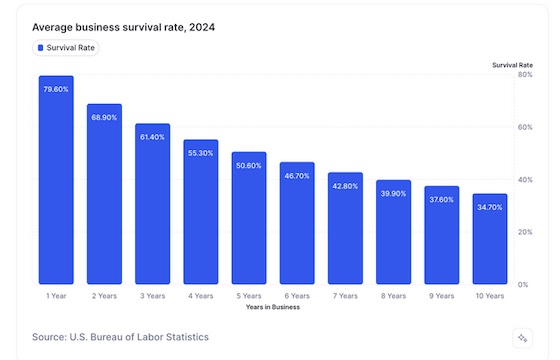 table showing average business survival rate 2024