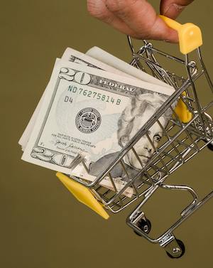 illustration for income immorality: dollar bills in a toyb grocery cart