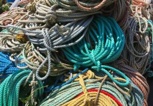 tangled ropes suggesting startups often begin unconsciously